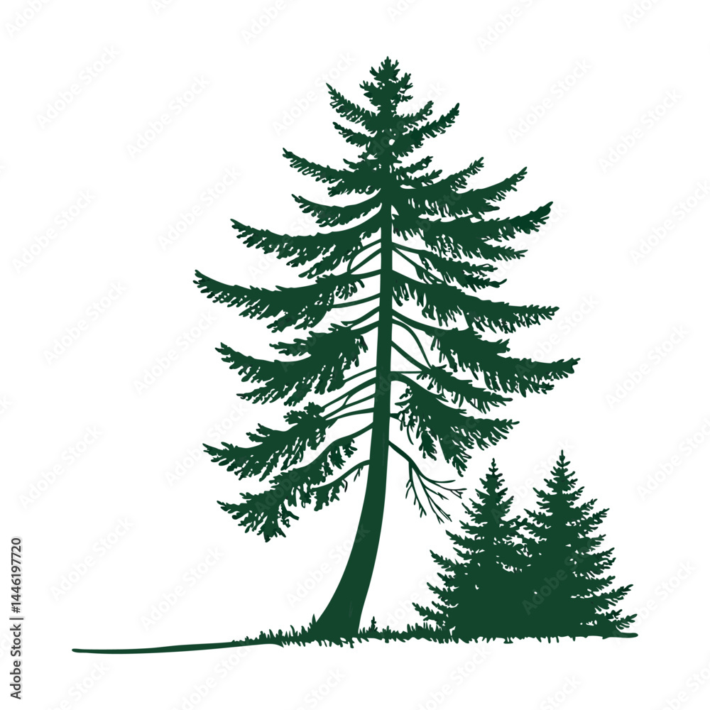 Fototapeta premium Dark green pine tree silhouettes on white background