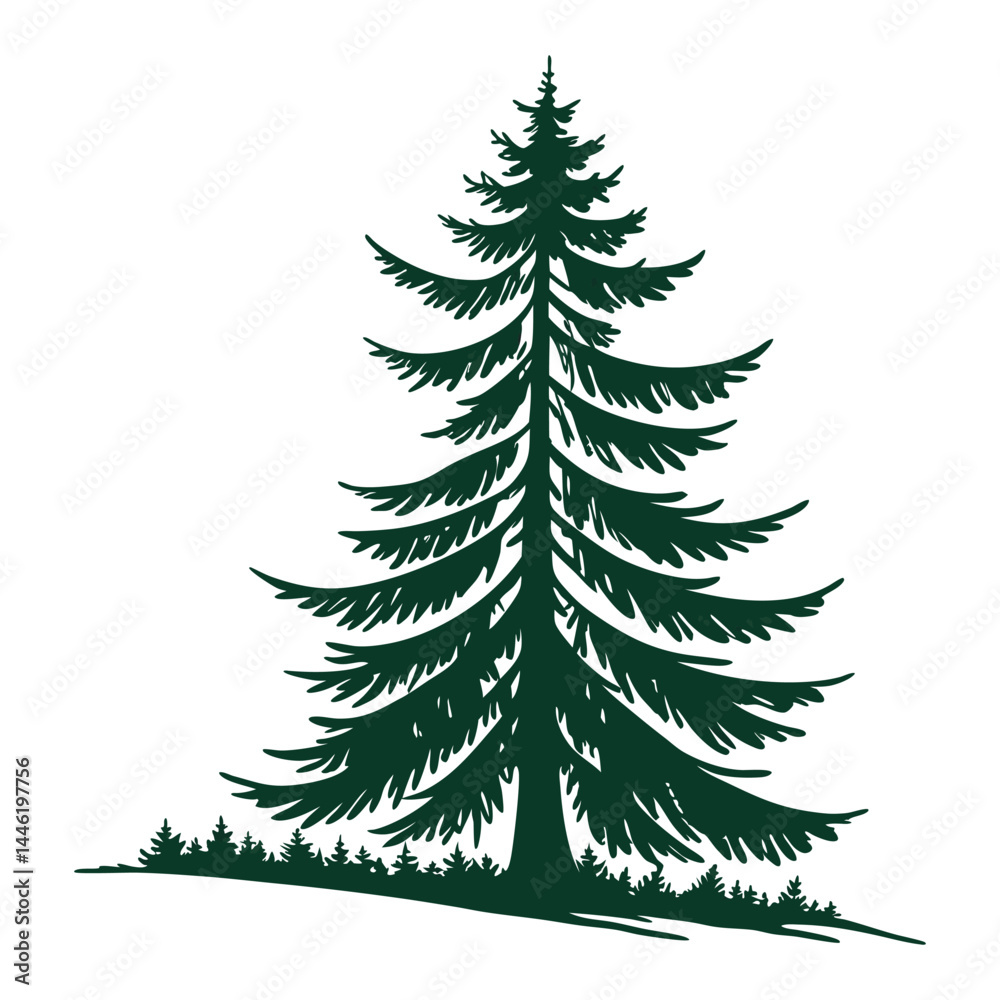 Fototapeta premium Evergreen Pine Tree Silhouette Vector Graphic