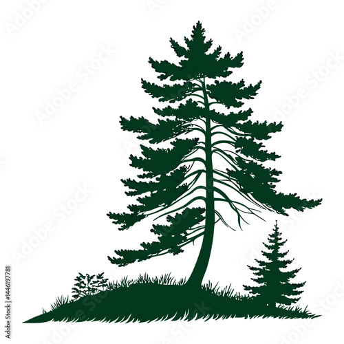 A simple, symmetrical  a tall evergreen pine tree with layered branches, dark green color 