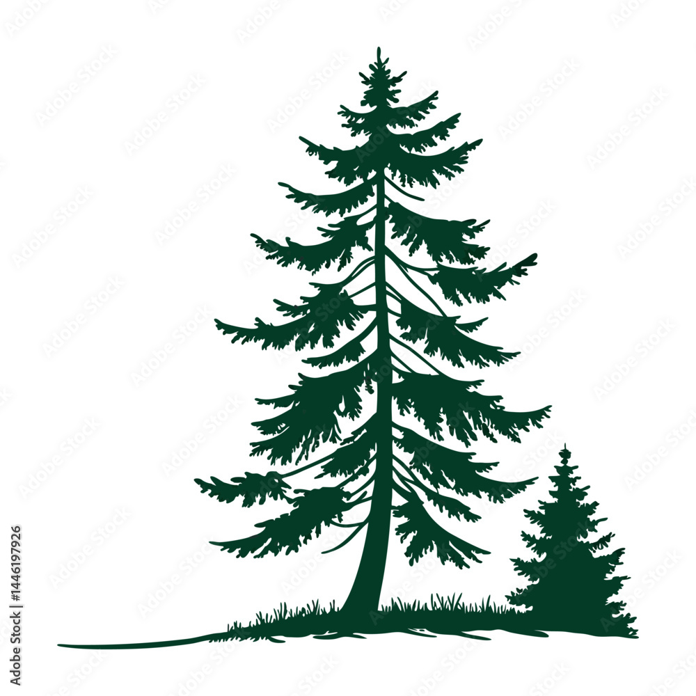 Fototapeta premium Dark green pine tree silhouette illustration