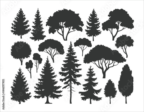 Ash Tree Silhouettes for Botanical Projects