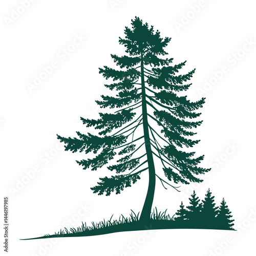 A simple, symmetrical  a tall evergreen pine tree with layered branches, dark green color 