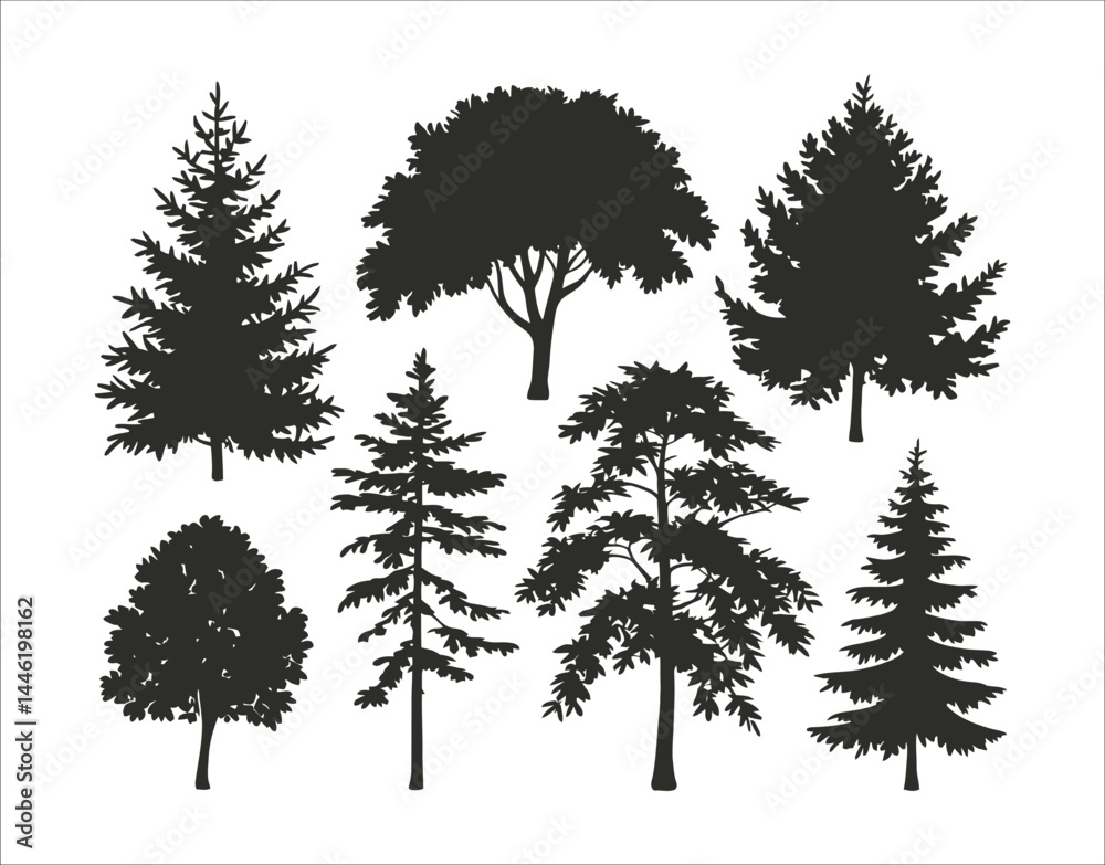 Fototapeta premium Black Ash Tree Illustrations – Silhouette Design