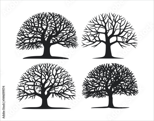 High Contrast Ash Tree Vector Bundle