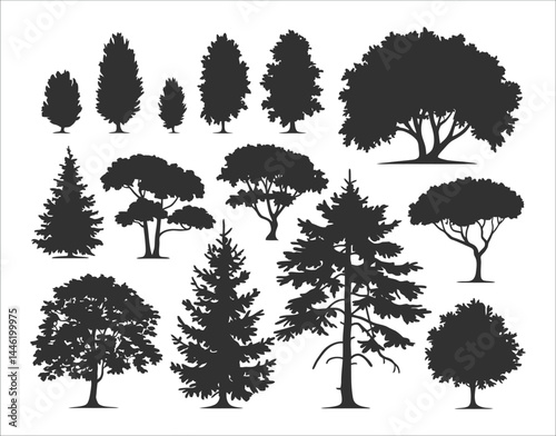 Seasonal Ash Tree Silhouette Collection