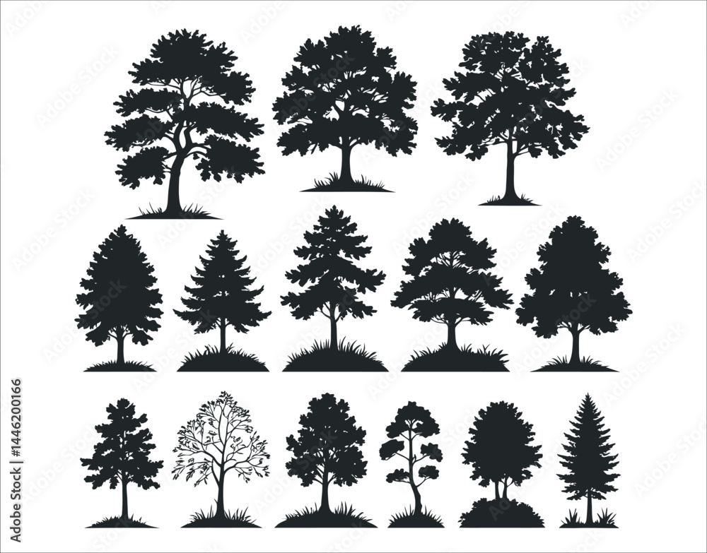 Fototapeta premium Simple Ash Tree Silhouettes – Vector Isolated