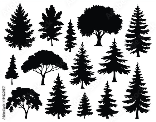 Stylized Ash Tree Silhouettes for Vector Art