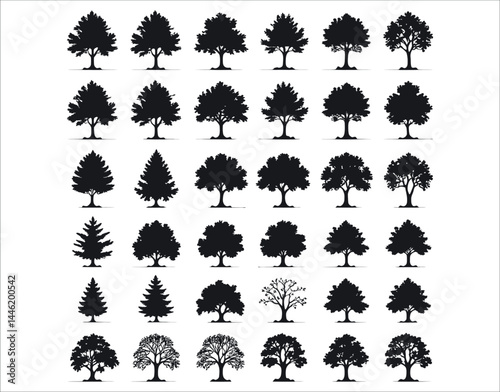 Variety of Ash Trees in Silhouette Form