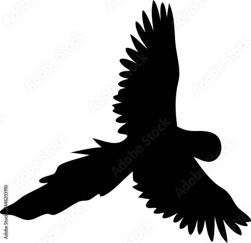 Black parrot silhouette icon flying on a clean white background, ideal for tropical bird designs and wildlife themes.