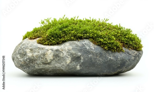 Fresh green moss covering a stone, Isolated on White Background