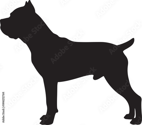 Cane Corso Silhouette Vector Illustration