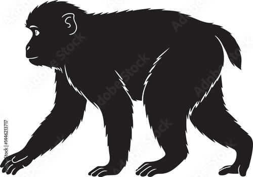 Japanese Macaque Silhouette Vector Illustration