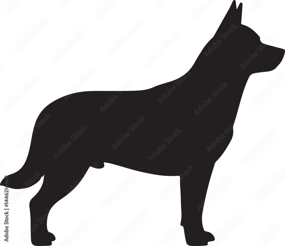 Queensland Heeler Dog Silhouette Vector Illustration Queensland Heeler Dog Silhouette Vector Illustration