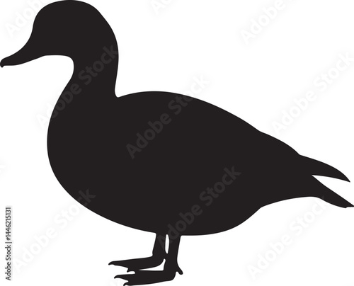 Radjah Shelduck Silhouette Vector Illustration