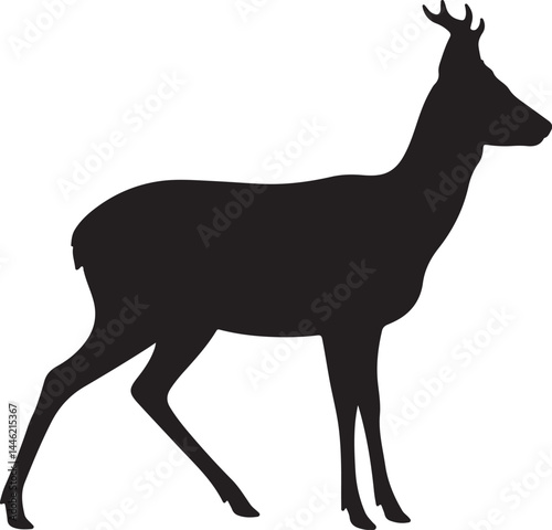 Roe Deer Silhouette Vector Illustration