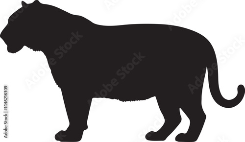 Tiger Big Cat Silhouette Vector on White Background