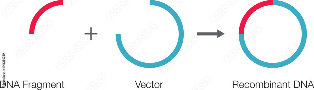 Gene DNA. Gene Cloning Plasmids and Recombinant. vector illustration.