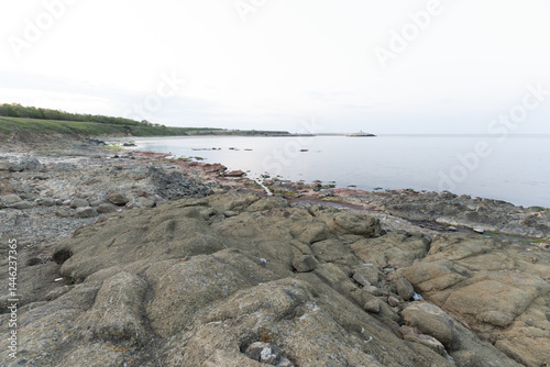 Fototapeta Naklejka Na Ścianę i Meble -  Seaweed-covered rocky shore in Igneada, Turkey
Wide-angle coastal view of Begendik in Demirkoy, Kirklareli, Turkey, showing seaweed-covered rocks, calm waters, and a soft April horizon.
