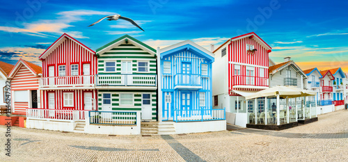 Colorful striped houses called Palheiros with bird seagull. Costa Nova do Prado is a beach village resort on Atlantic coast near Aveiro, Portugal