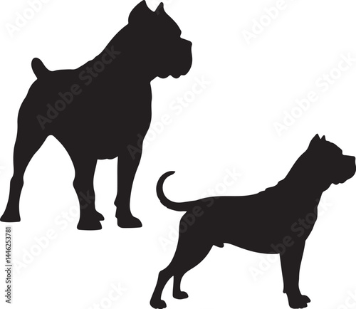 Cane Corso Vector Silhouette