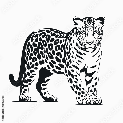 Leopard vector illustration black and white animal wildlife feline predator mammal zoo africa nature drawing art