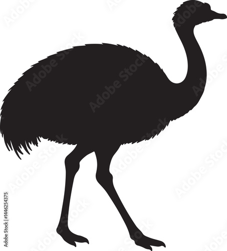 Darwin’s Rhea Vector Silhouette