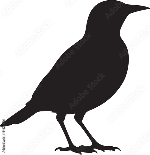 Eastern Meadowlark Vector Silhouette