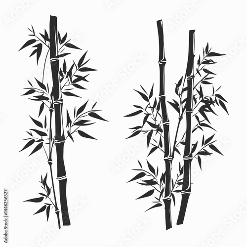 Bamboo vector illustration plant asian zen oriental nature design graphic element silhouette black and white art