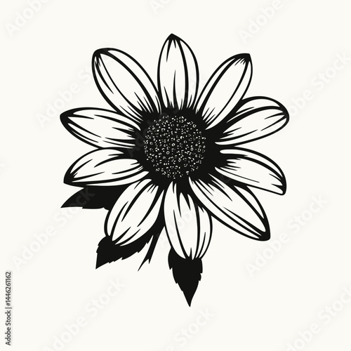 Sunflower floral flower petal blossom bloom botanical plant nature garden spring summer beauty art drawing silhouette