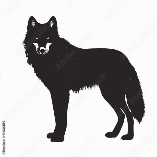 Wolf animal canine predator mammal wildlife nature forest wild black gray illustration art drawing silhouette