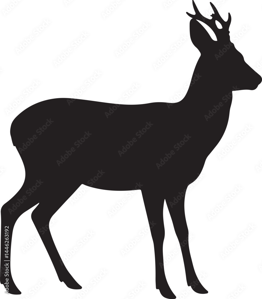 Fototapeta premium Roe Deer Vector Silhouette