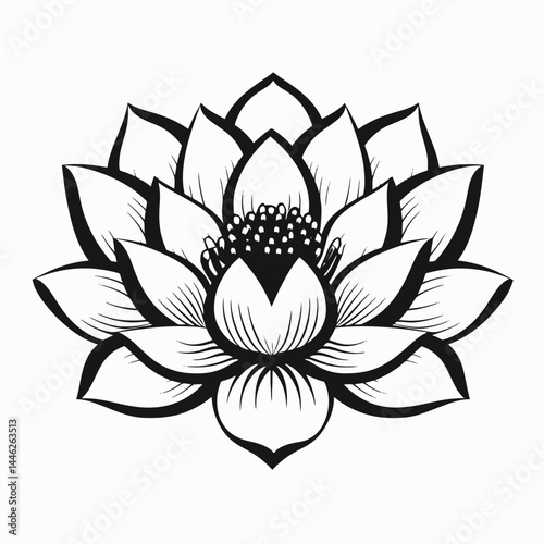 Lotus flower vector illustration drawing floral bloom blossom botanical zen meditation yoga peace design art silhouette
