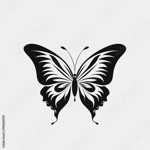Butterfly vector illustration insect design wings nature animal art graphic decorative beautiful black white silhouette