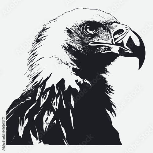 Eagle bird animal wildlife nature predator falcon hawk illustration artwork art vector design head avian silhouette