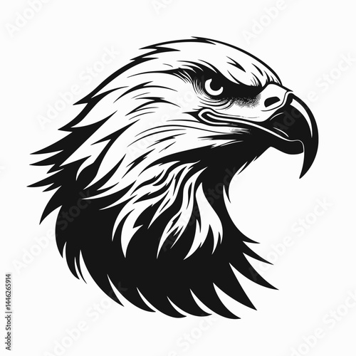 Eagle head vector illustration bald eagle drawing black and white bird of prey animal design artwork silhouette