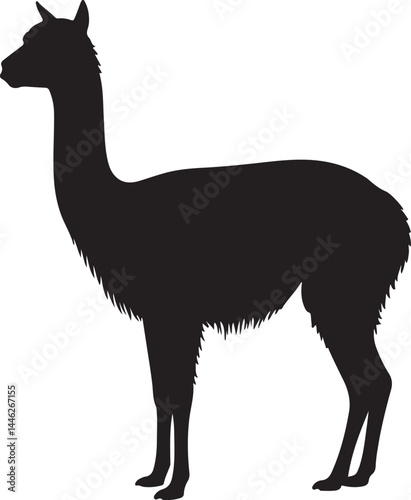 Vicuña Vector Silhouette
