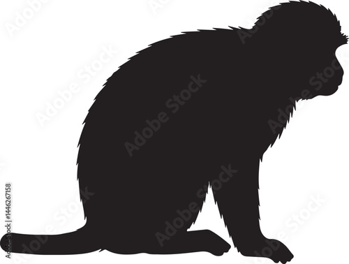 Vervet Monkey Vector Silhouette