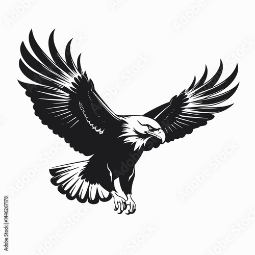 Eagle soaring wings flying bird predator falcon hawk wildlife animal nature freedom vector illustration silhouette