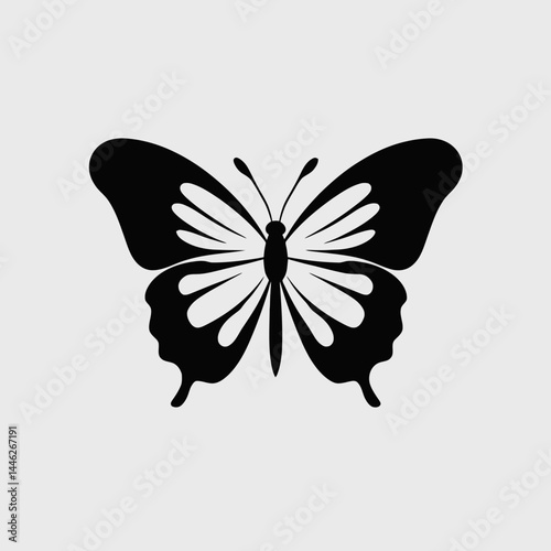 Butterfly vector illustration black and white insect pattern wings design graphic nature silhouette drawing art