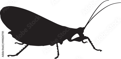 Walking Leaf Insect Vector Silhouette