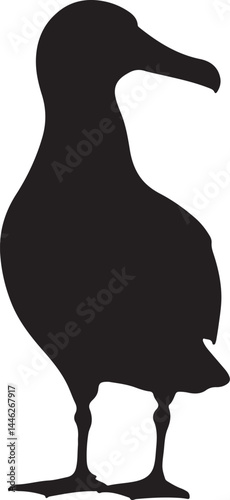Wandering Albatross Vector Silhouette