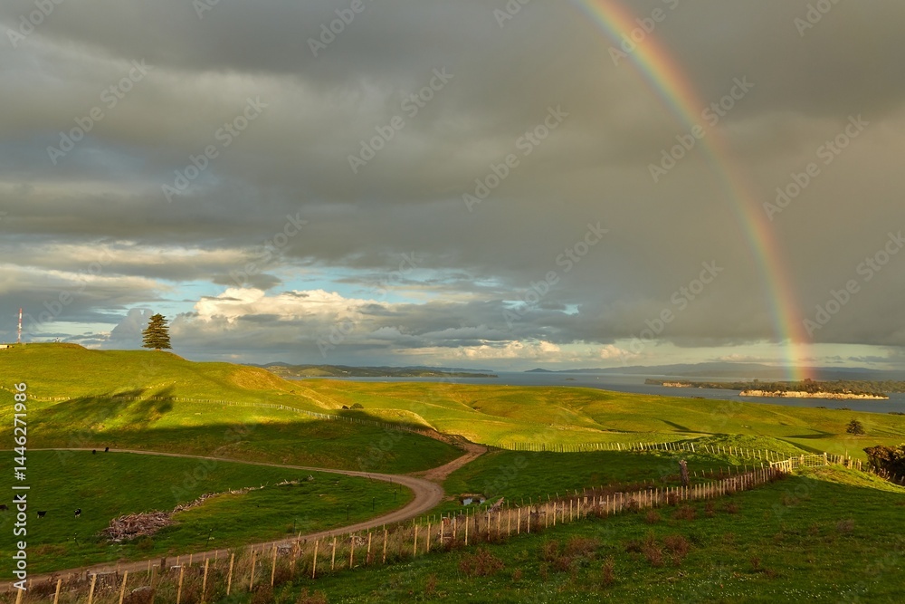 Rainbow over green fields of New Zealand