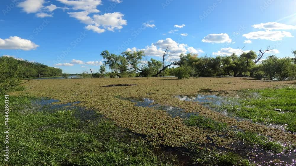humedal agua 