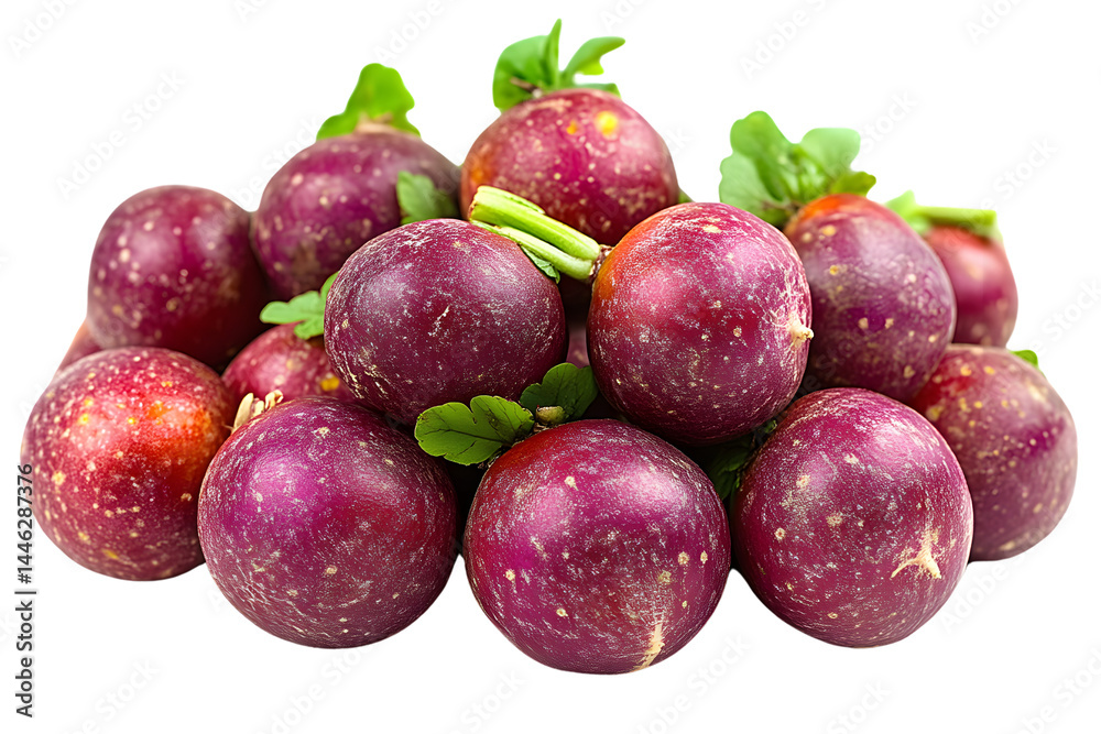 Fresh Purple Radishes Harvest Closeup Still Life Photo Fresh Purple Radishes Harvest Closeup Still Life Photo