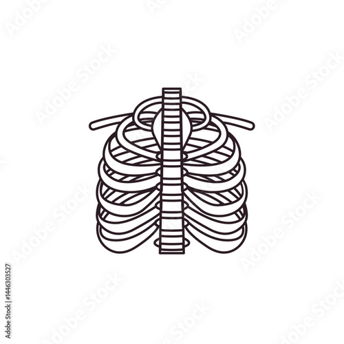 sternum cheast bones vector illustration emoji symbol sign icon flat design
