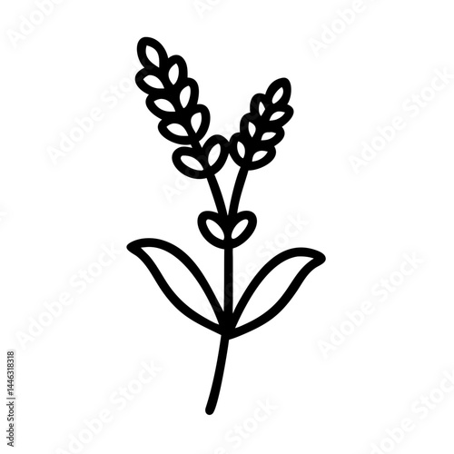 Lavender herb, symbol of calm and wellness, thin line vector icon with transparent background