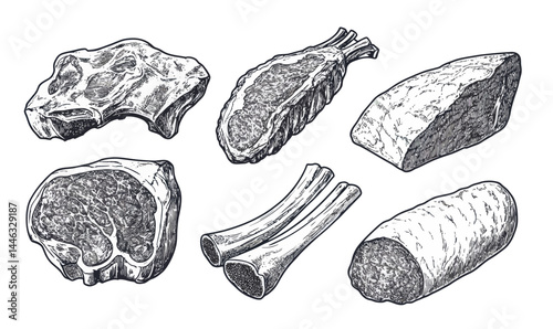 Detailed Engraving of Raw Meat Cuts: Steak, Ribs, Ham in Vector Illustration Style
