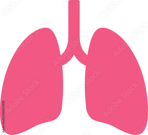 Human lungs vector illustration in simple shape and pink color for medical and health concepts 