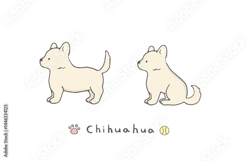 チワワ　セット