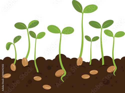 Young green seedling plants sprouting from fertile soil vector illustration for gardening and growth concepts 
